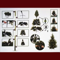 JULETR 400 LED 240 CM